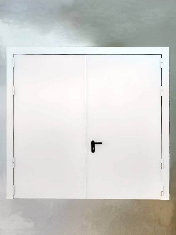 Двупольная дверь с наружной стороны (КП, Истринский р-н) Двупольная дверь с наружной стороны (КП, Истринский р-н)