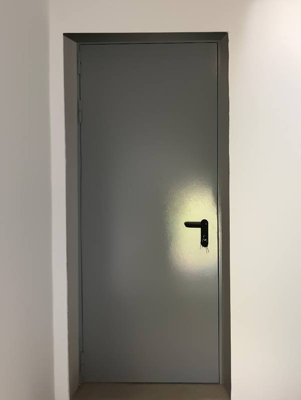 Глухая одностворчатая дверь (пансионат, пос. Огниково, д.19)